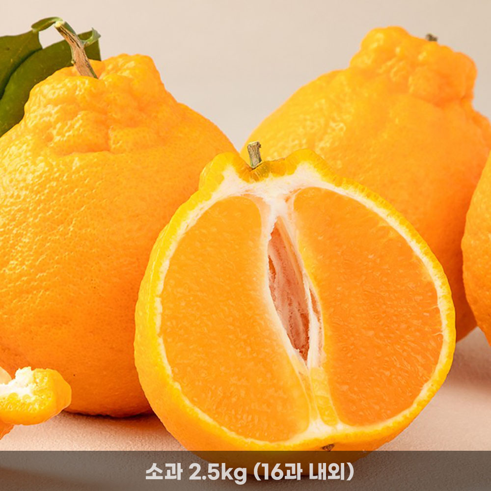 1771836062 thumbnail