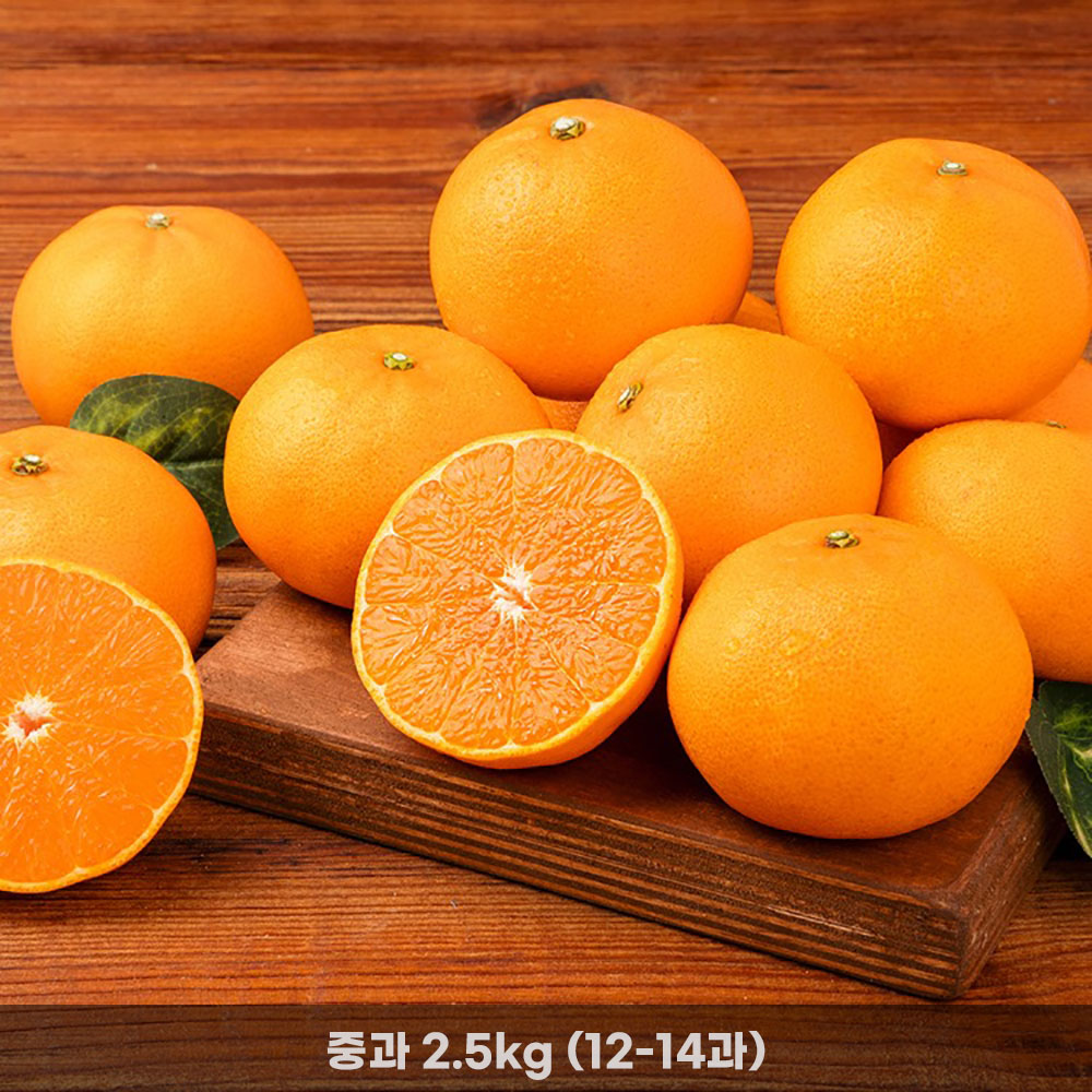 1771836074 thumbnail