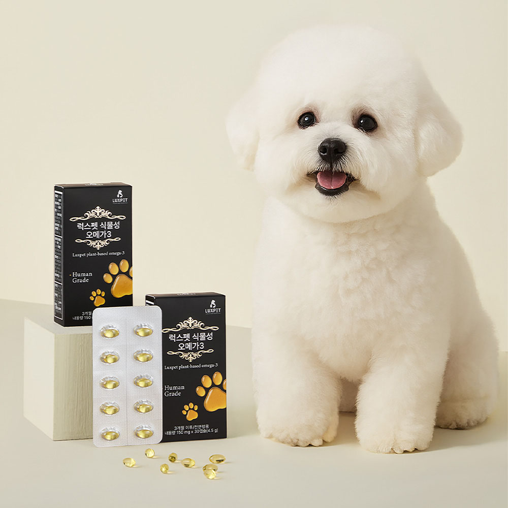 1771911329 thumbnail