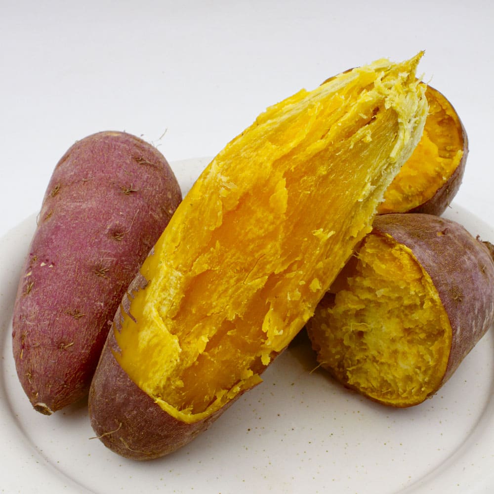 1772165252 thumbnail