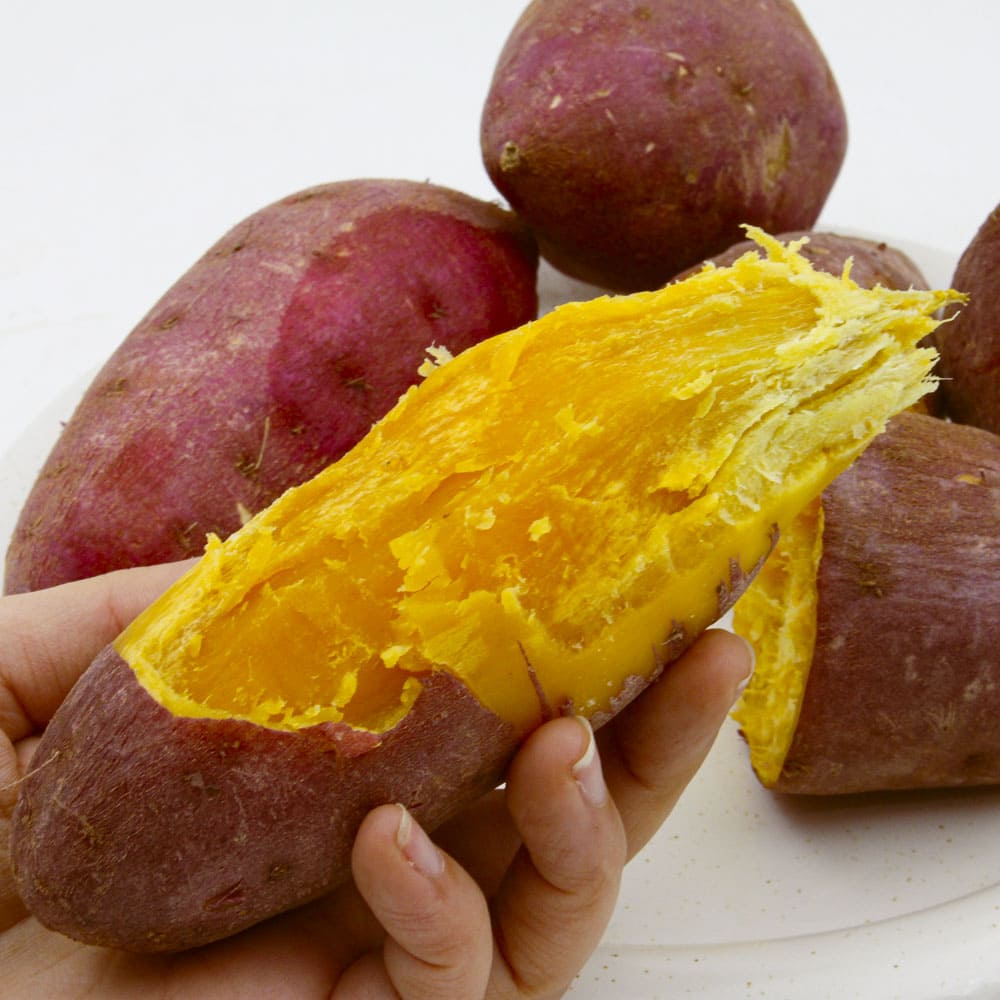 1772165254 thumbnail