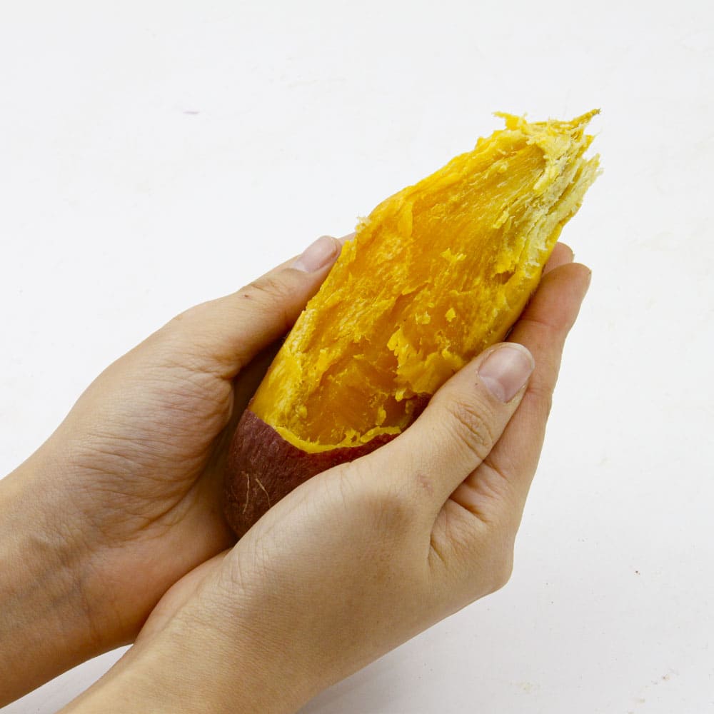 1772165255 thumbnail