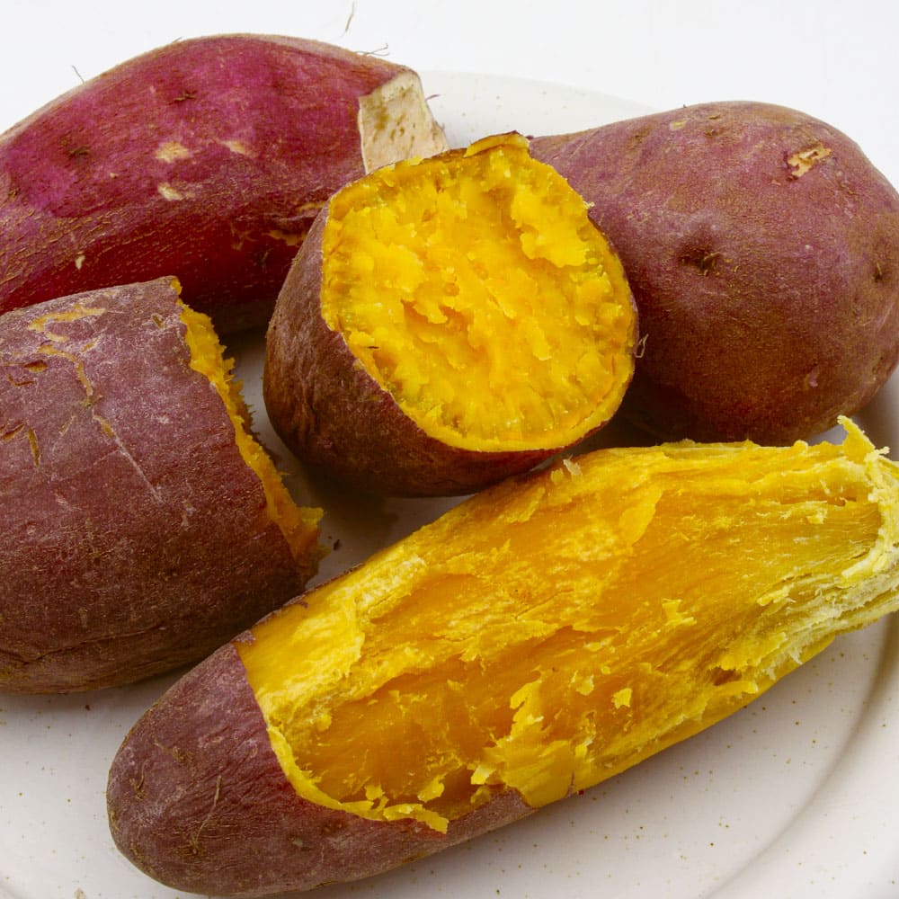 1772165256 thumbnail