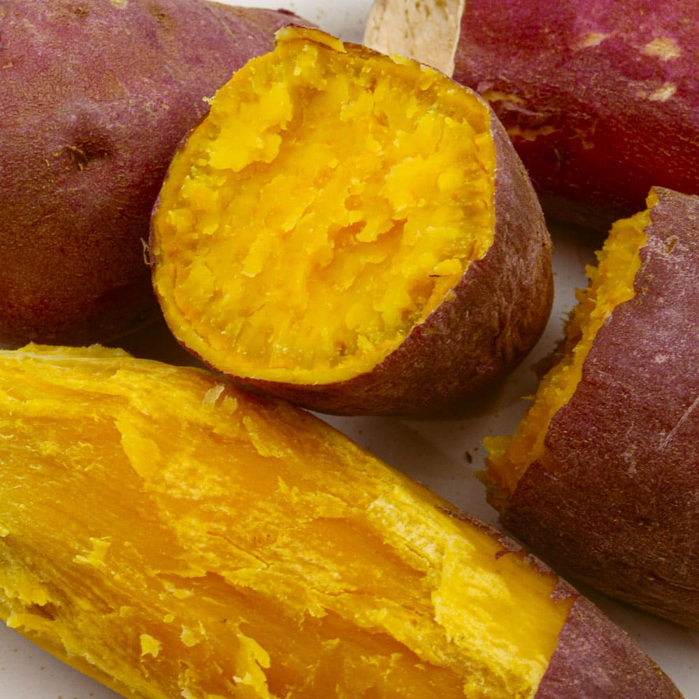 1772165257 thumbnail