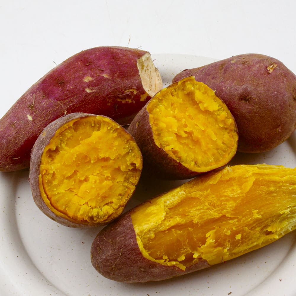 1772165258 thumbnail