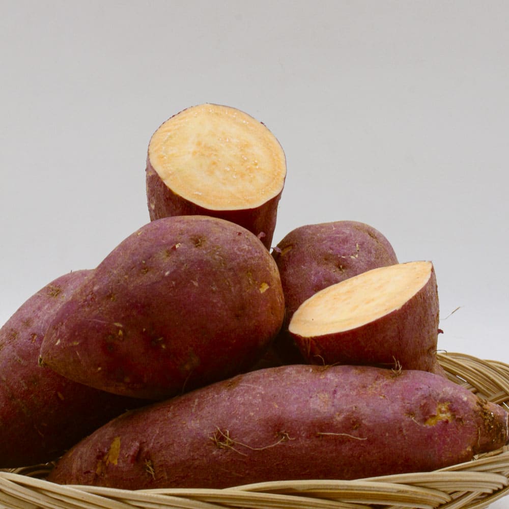 1772165263 thumbnail