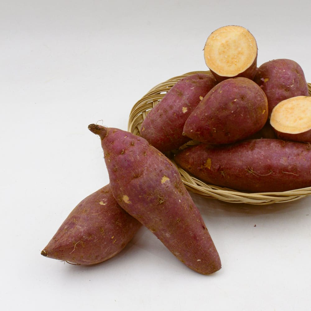 1772165264 thumbnail