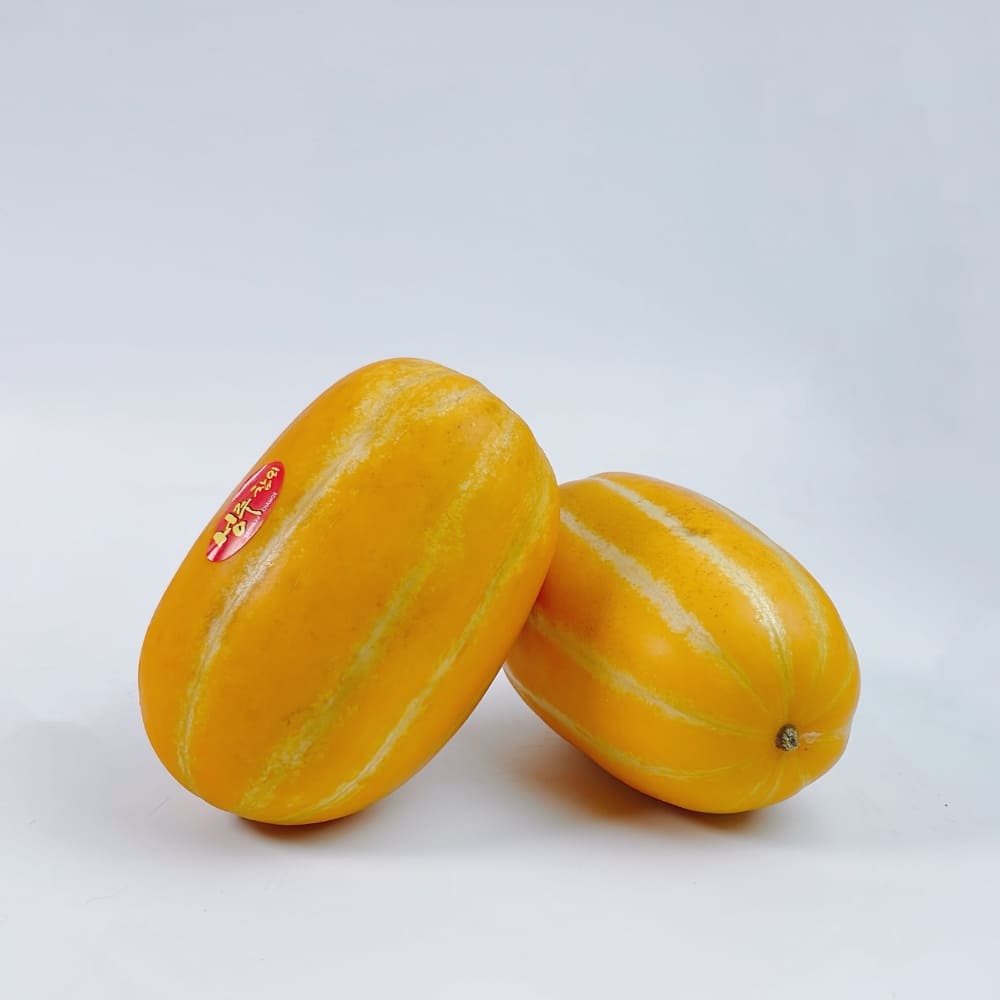 1772165276 thumbnail