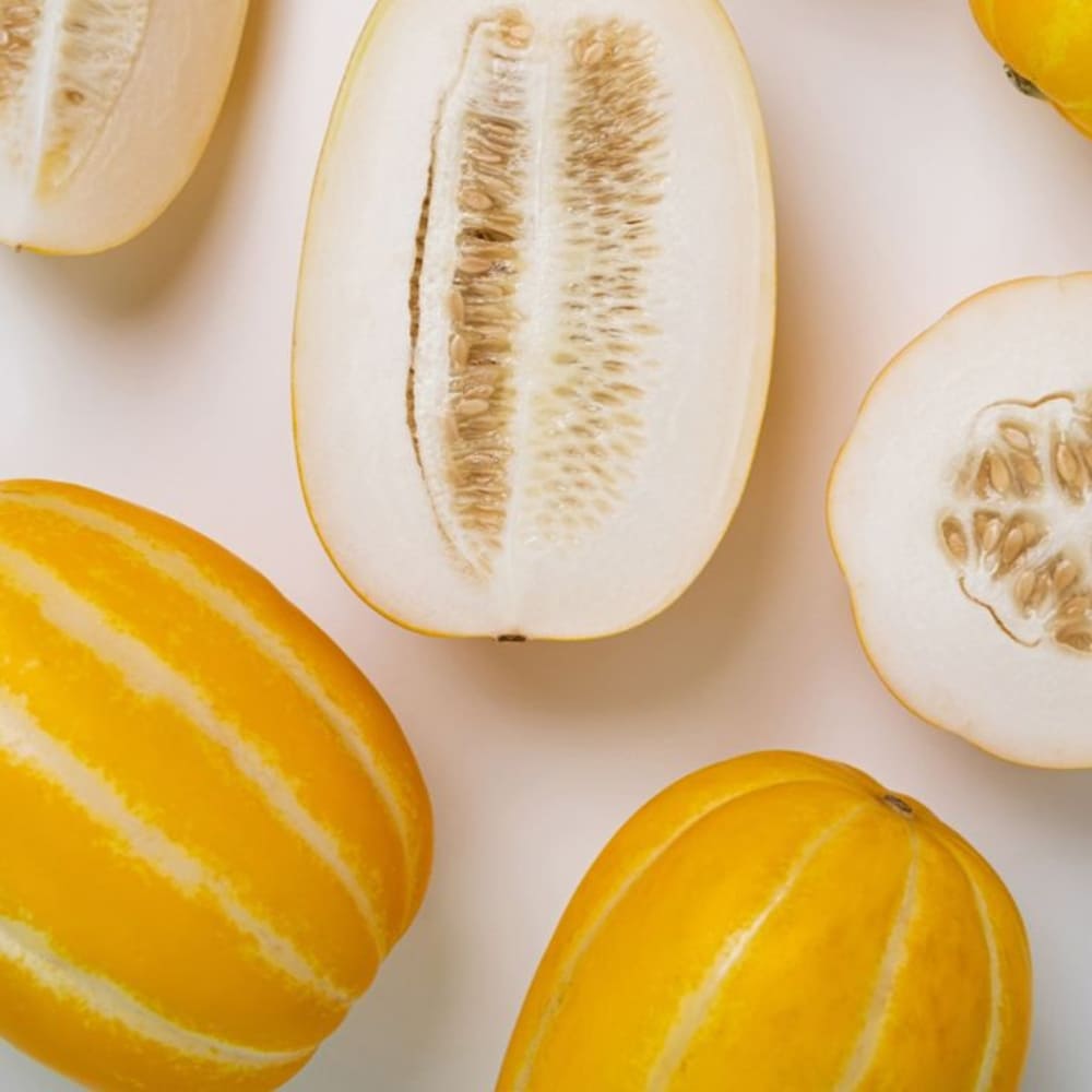 1772165277 thumbnail