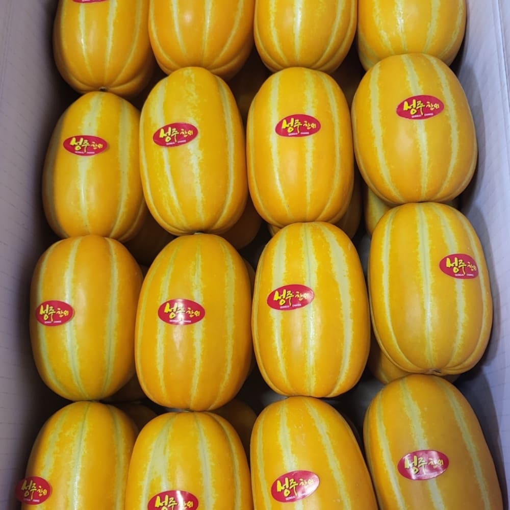 1772165278 thumbnail