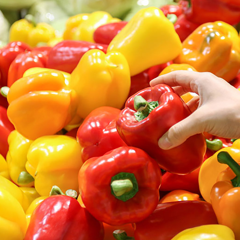 1772165284 thumbnail