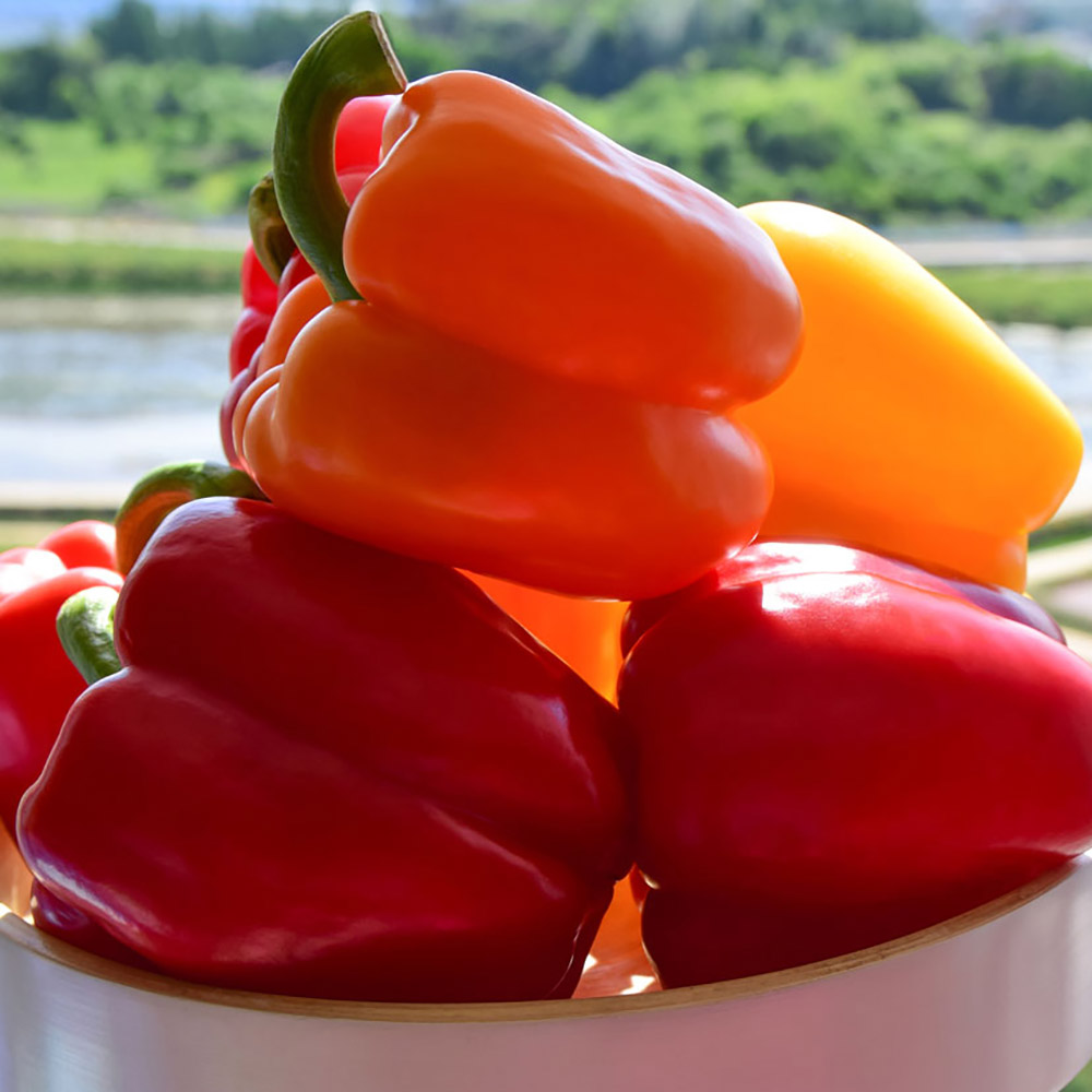 1772165285 thumbnail