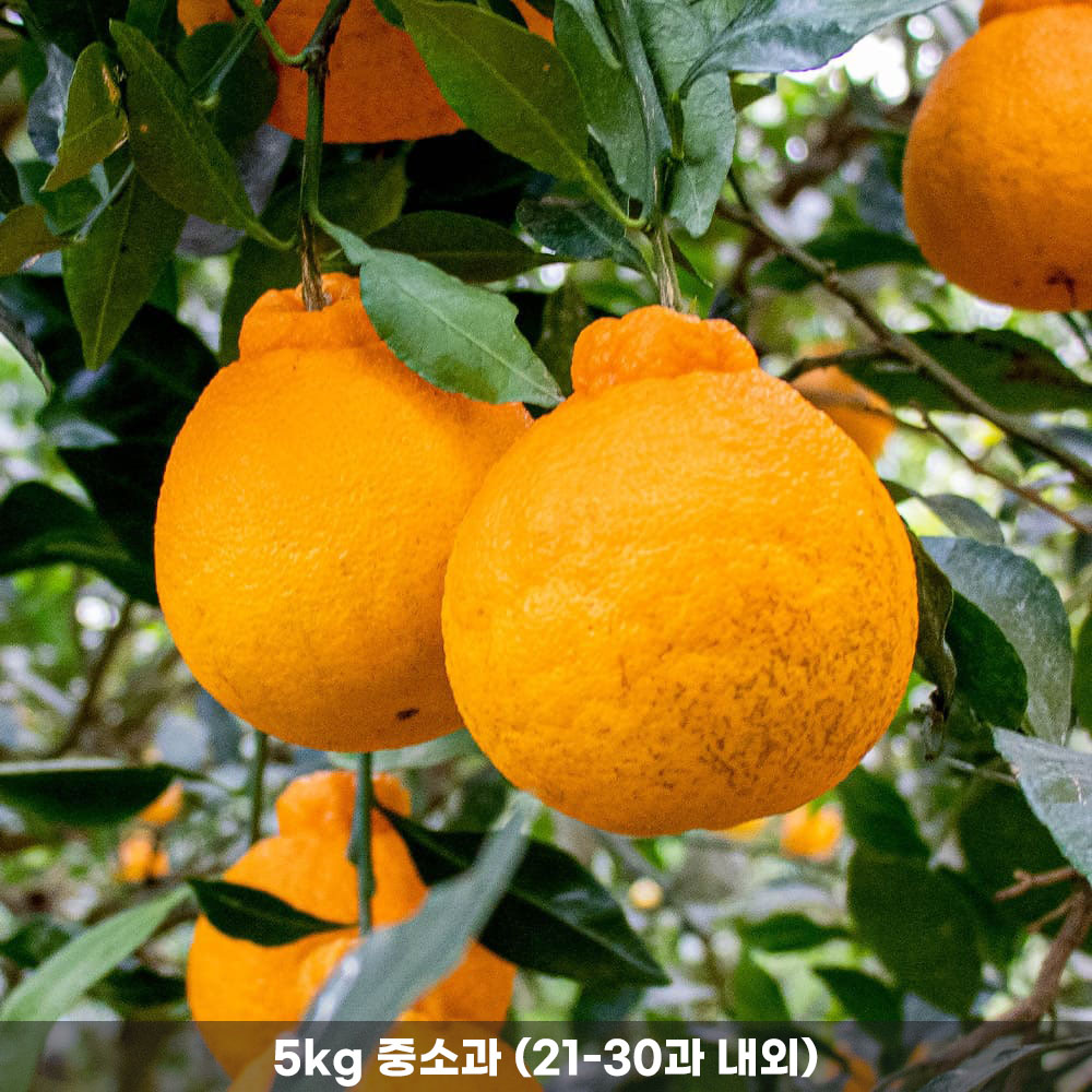 1772512759 thumbnail