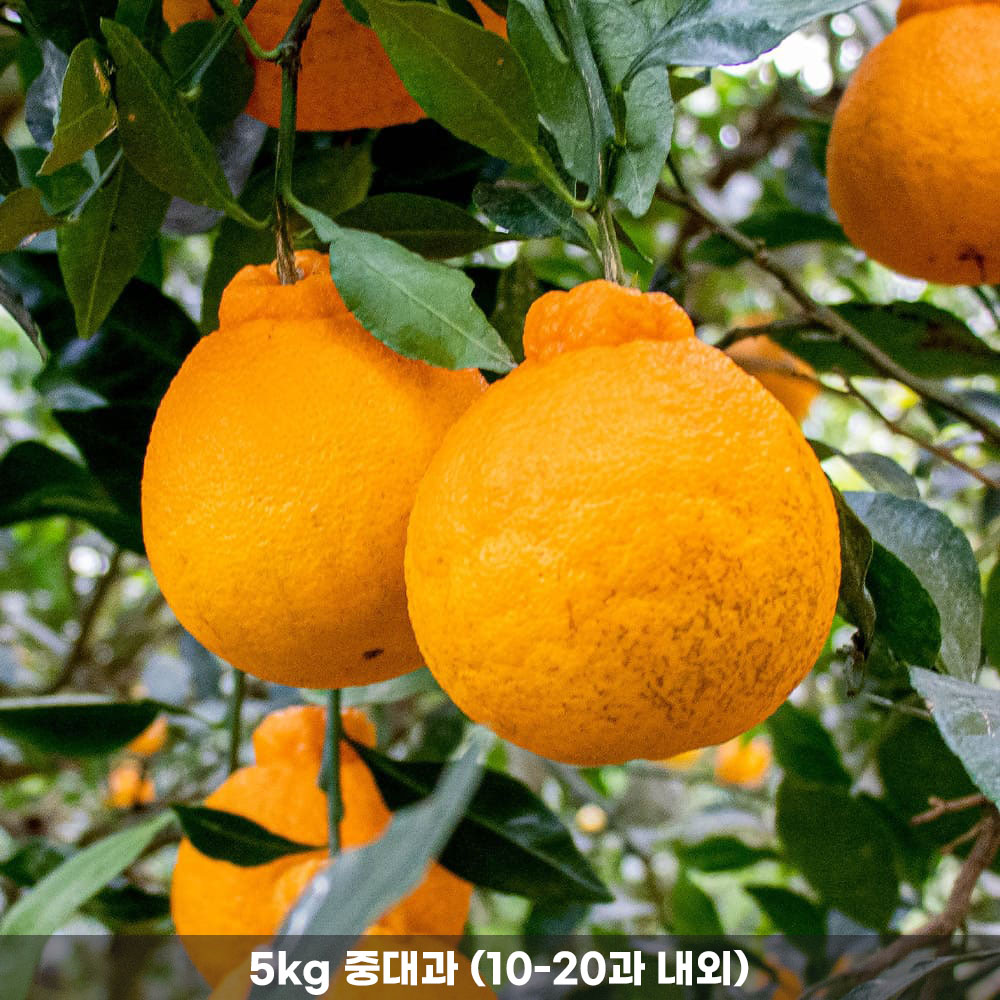 1772512760 thumbnail