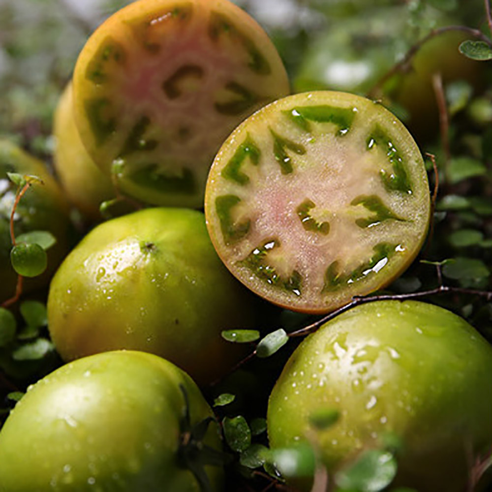 1772518352 thumbnail