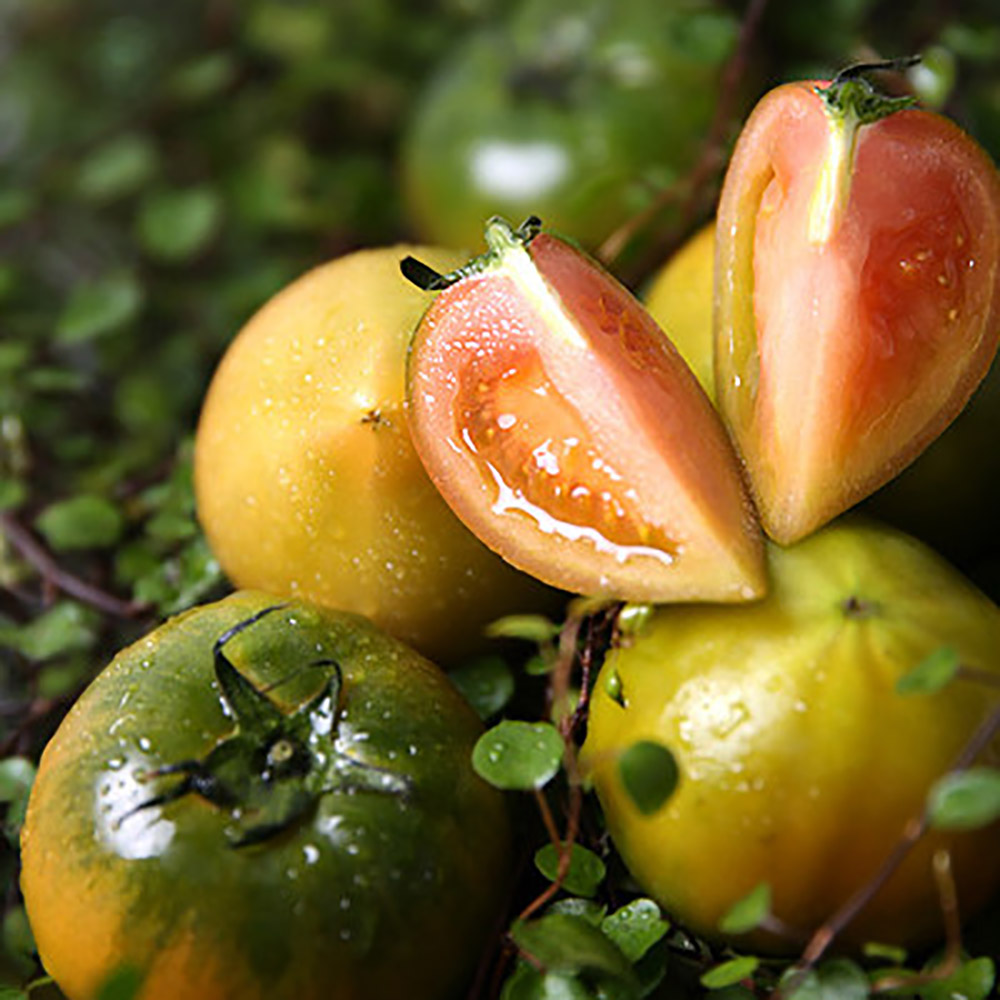 1772518353 thumbnail