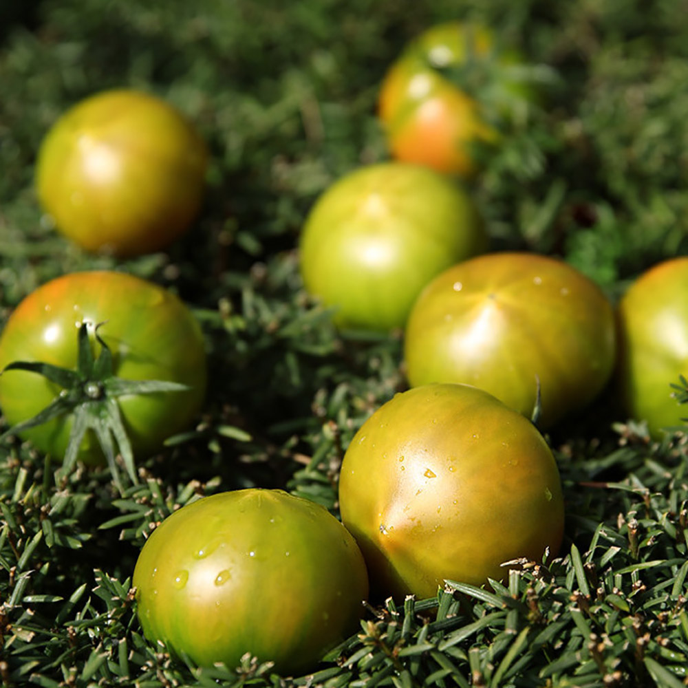 1772518354 thumbnail