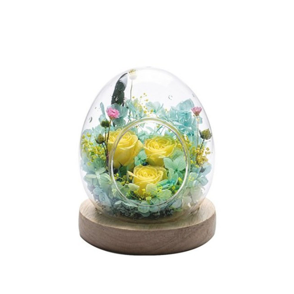 1772691022 thumbnail