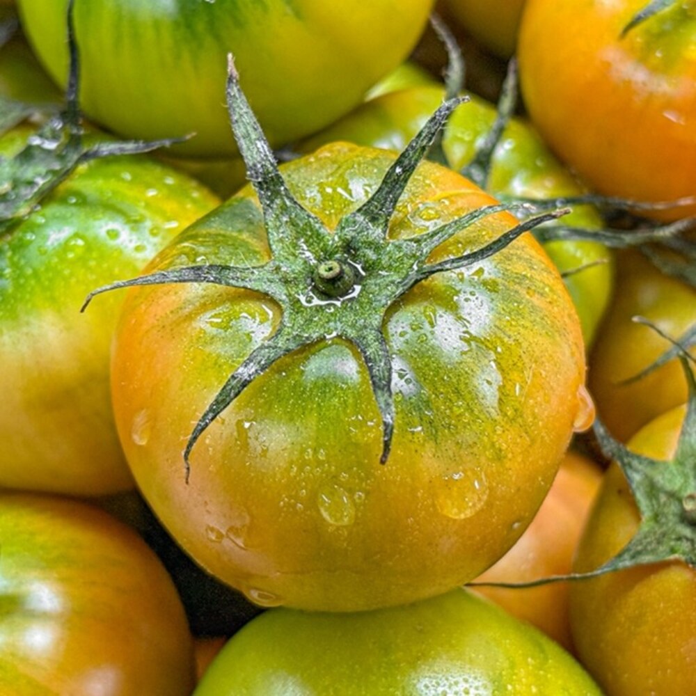 1772765588 thumbnail