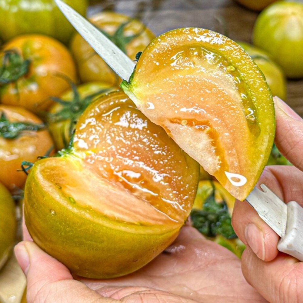 1772765589 thumbnail