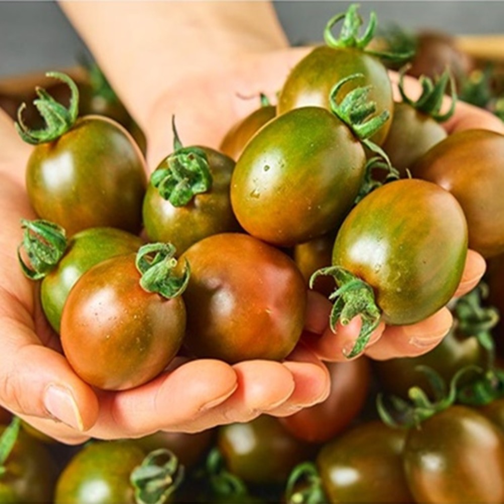 1772765611 thumbnail