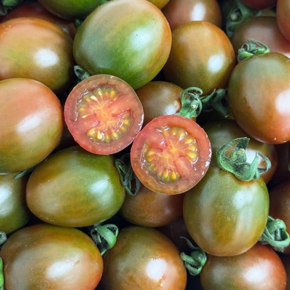 1772765612 thumbnail