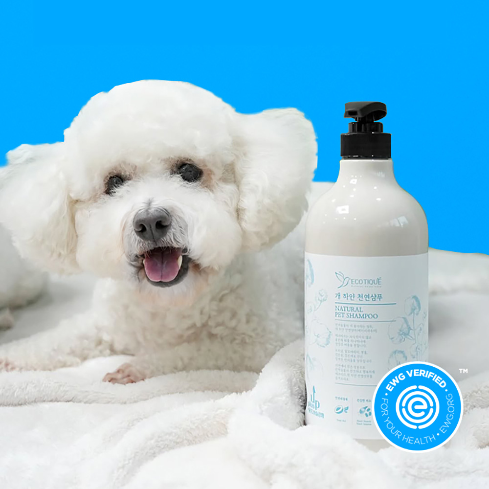 1773044680 thumbnail