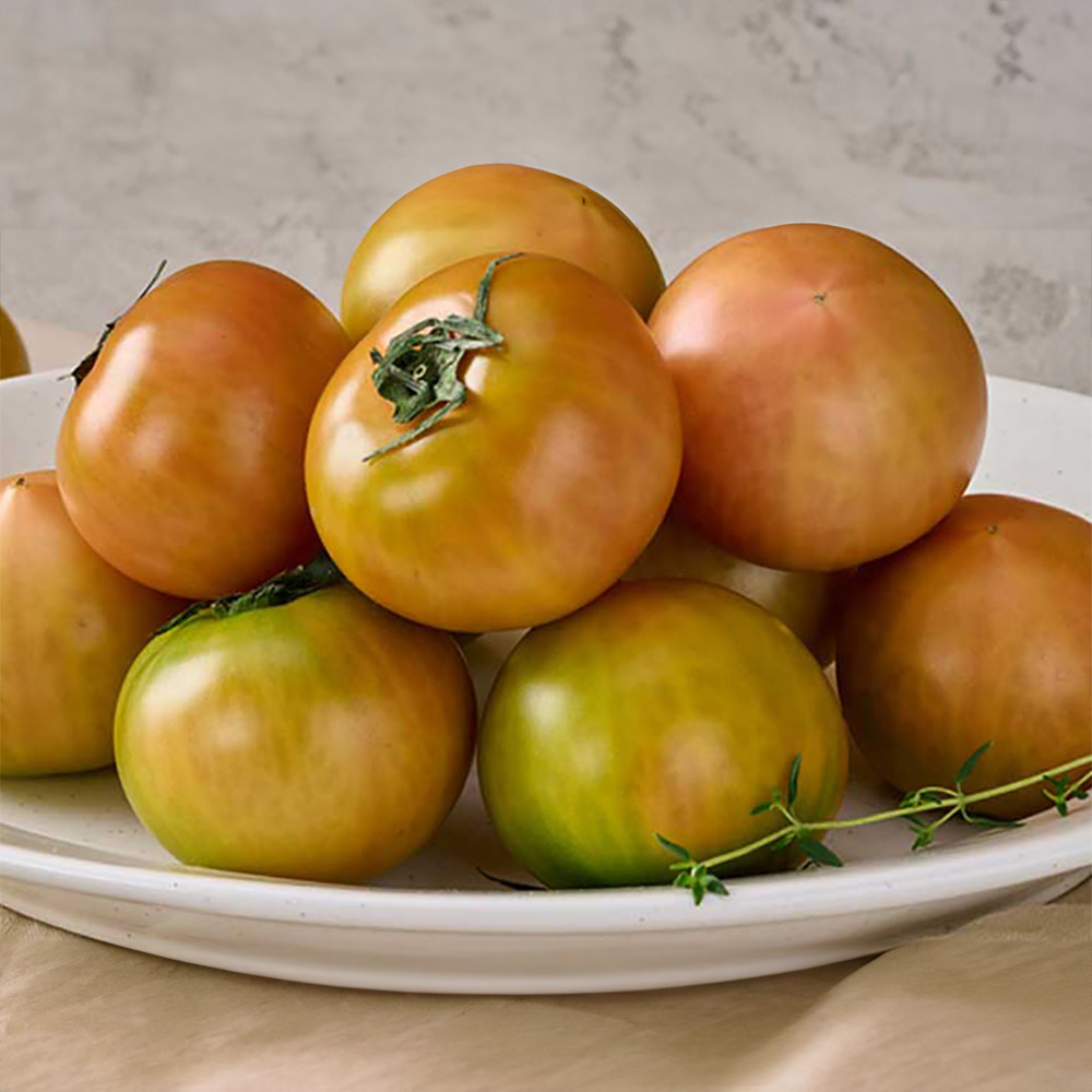 1773107777 thumbnail