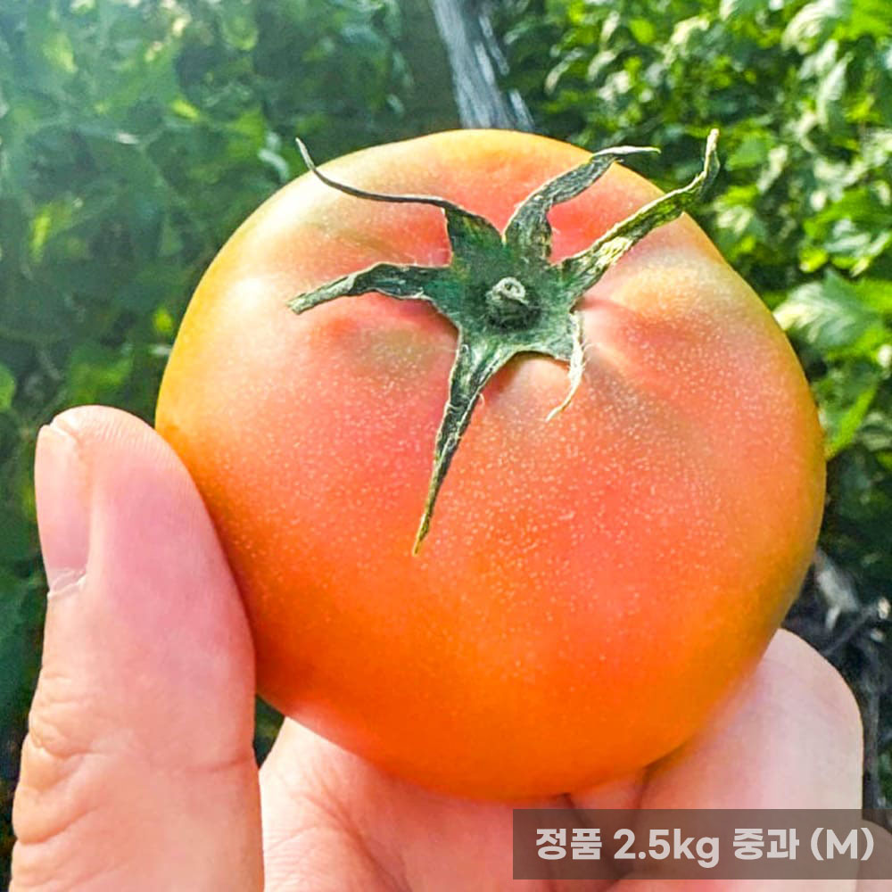 1773132214 thumbnail