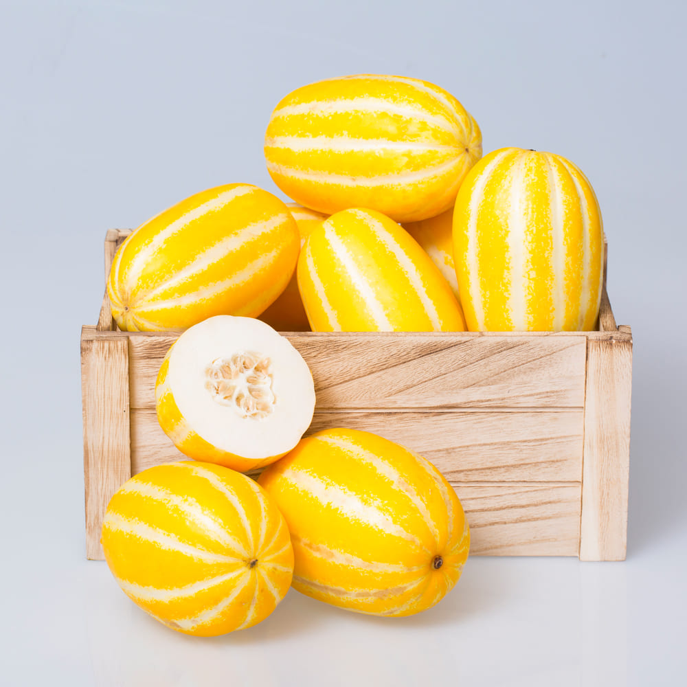 1773281191 thumbnail