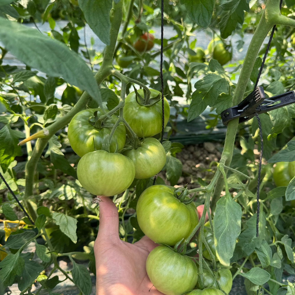 1773281196 thumbnail