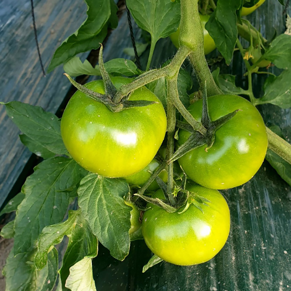 1773281197 thumbnail