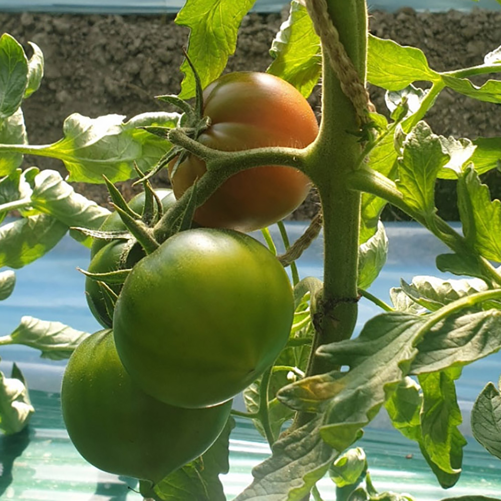 1773281198 thumbnail