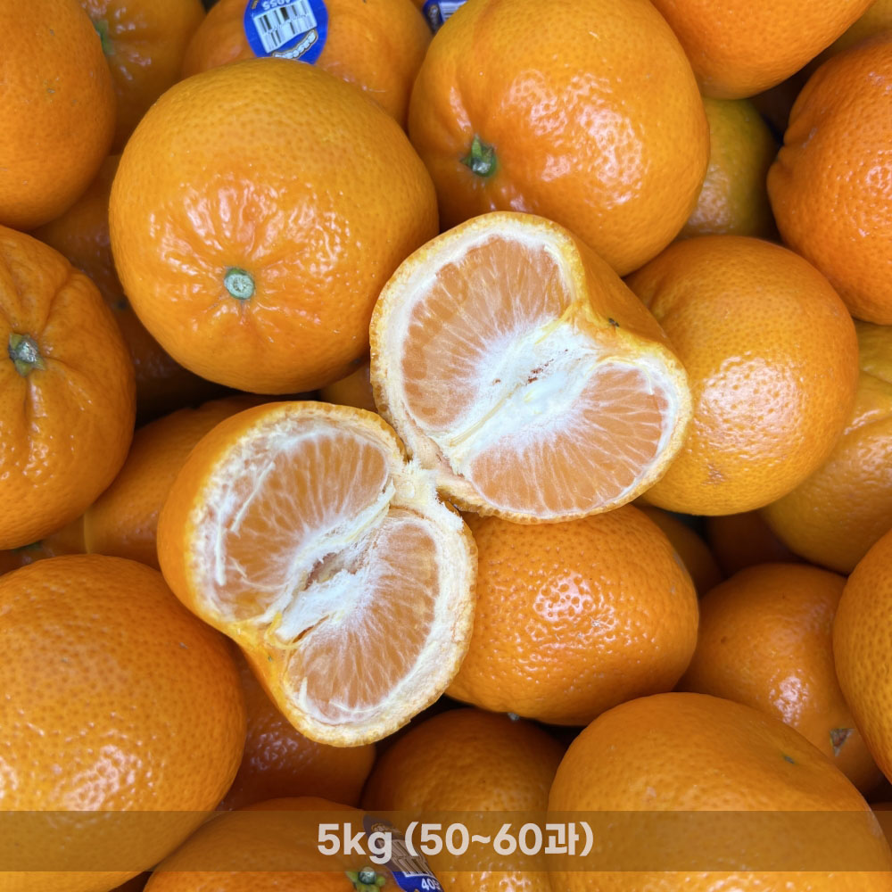 1773305781 thumbnail