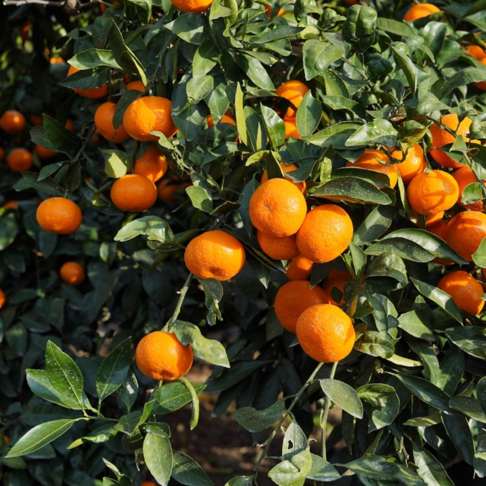 1773737361 thumbnail