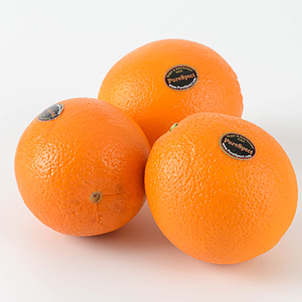 1773737364 thumbnail