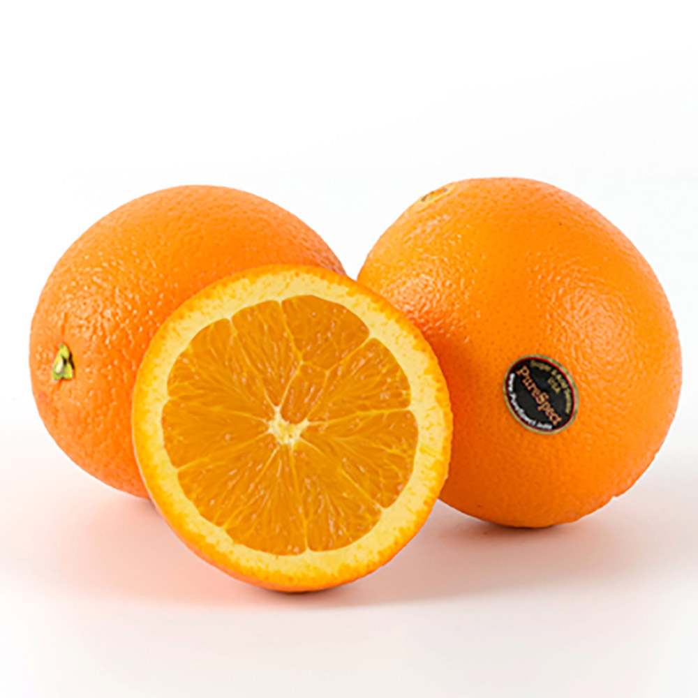 1773737365 thumbnail