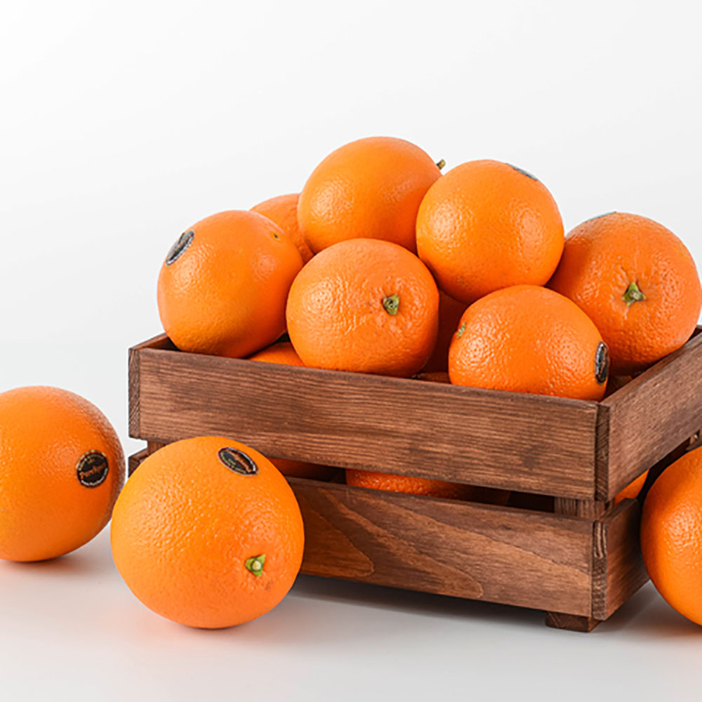 1773737370 thumbnail