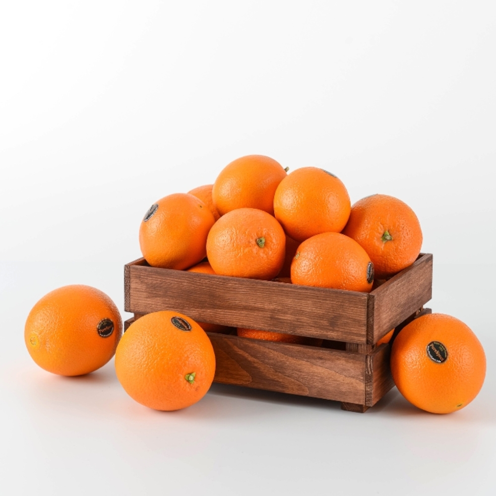 1773737371 thumbnail