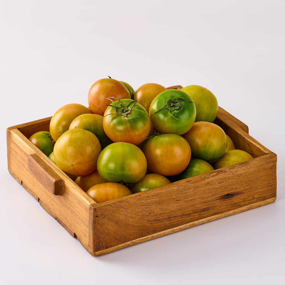 1773737378 thumbnail