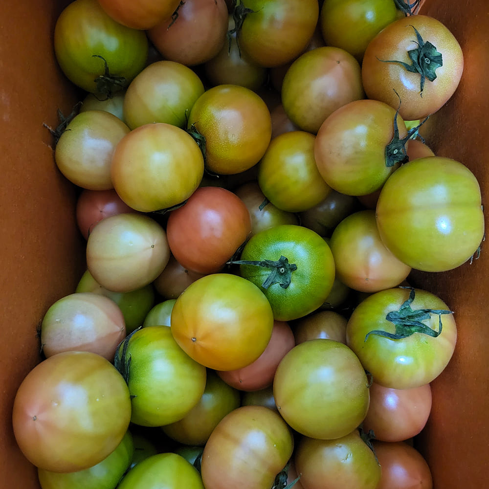 1773737381 thumbnail