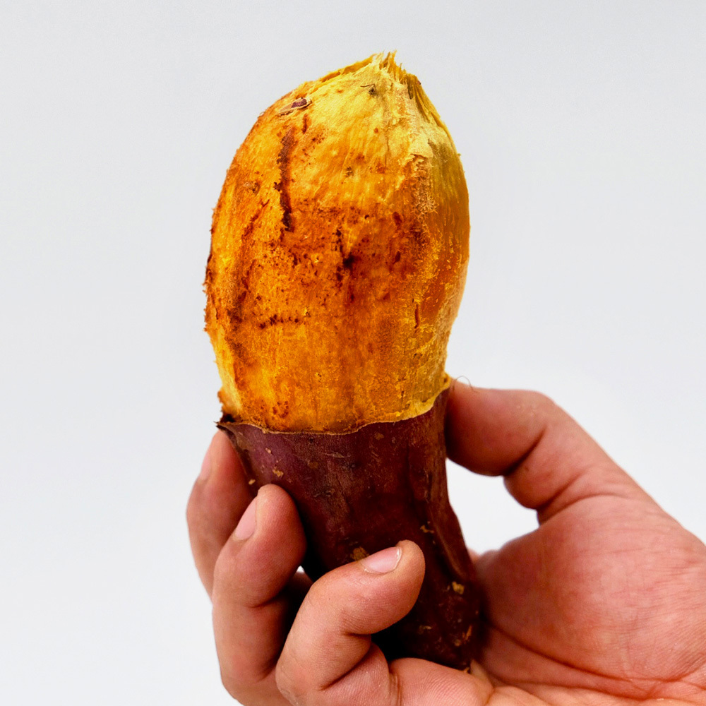 1773737394 thumbnail