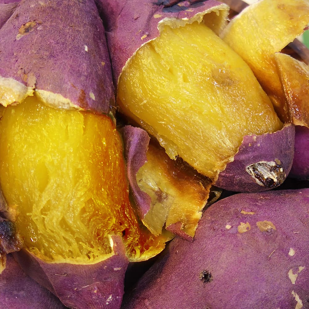 1773737406 thumbnail