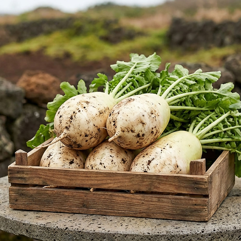 1774256103 thumbnail