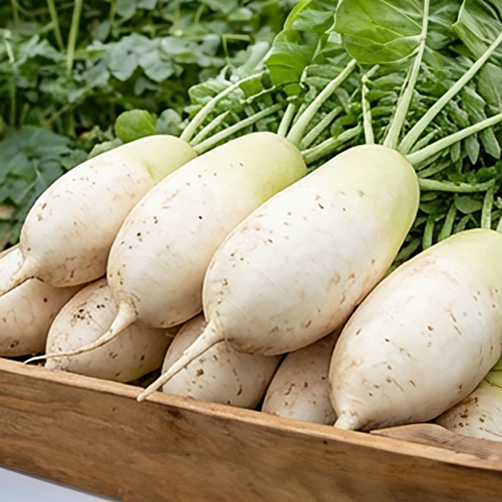 1774256104 thumbnail