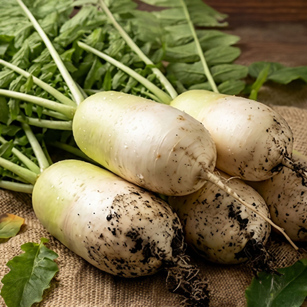 1774256105 thumbnail