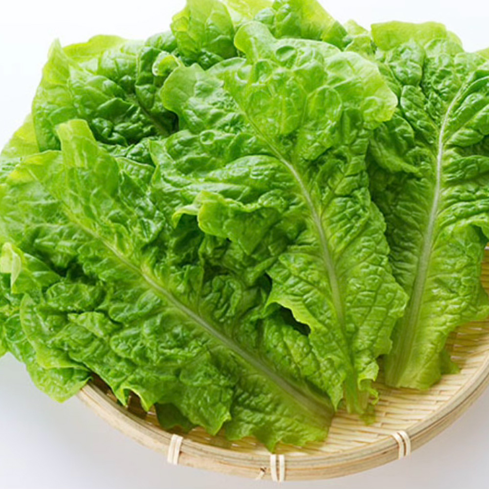 1774573407 thumbnail