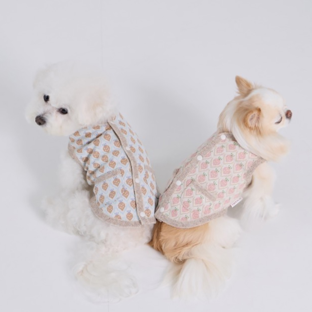 1774854777 thumbnail