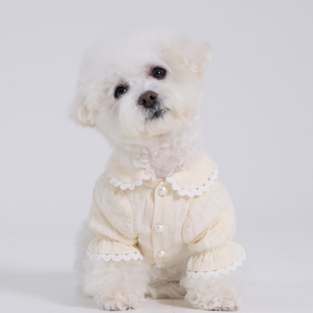 1774854778 thumbnail