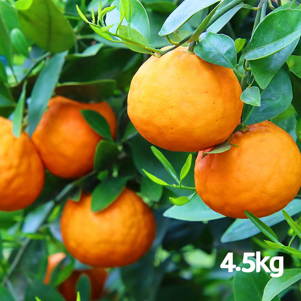 1774857034 thumbnail